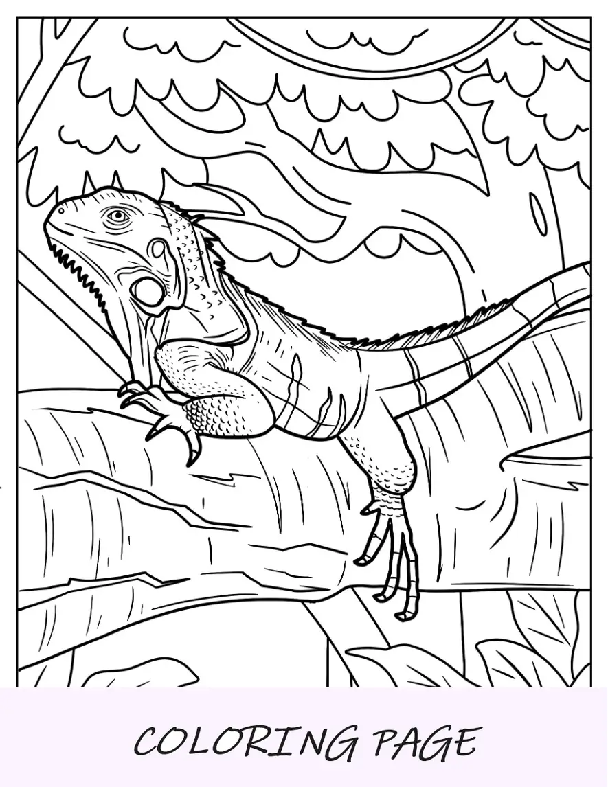 Página para colorear de lagarto de iguana con la cabeza en alto en la rama de un árbol