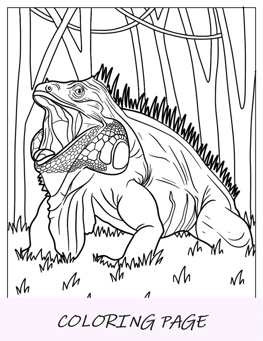 Dibujo para colorear de lagarto de iguana verde con la boca abierta