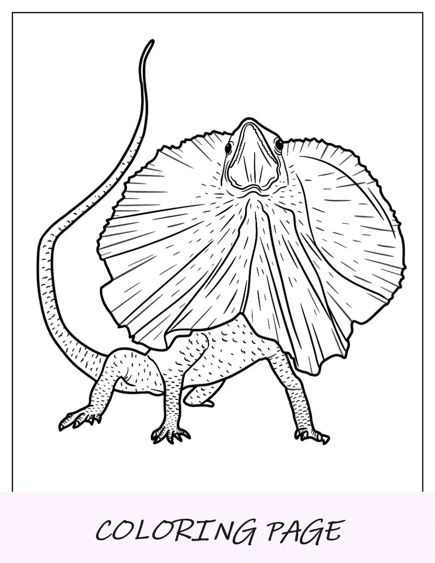 Página para colorear fácil de lagarto dragón