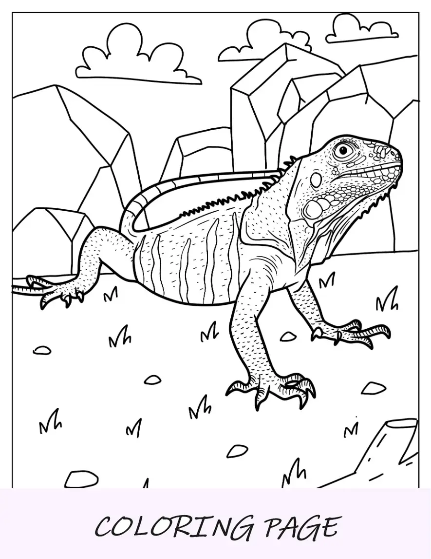 Página para colorear de lagarto de iguana verde sobre la hierba
