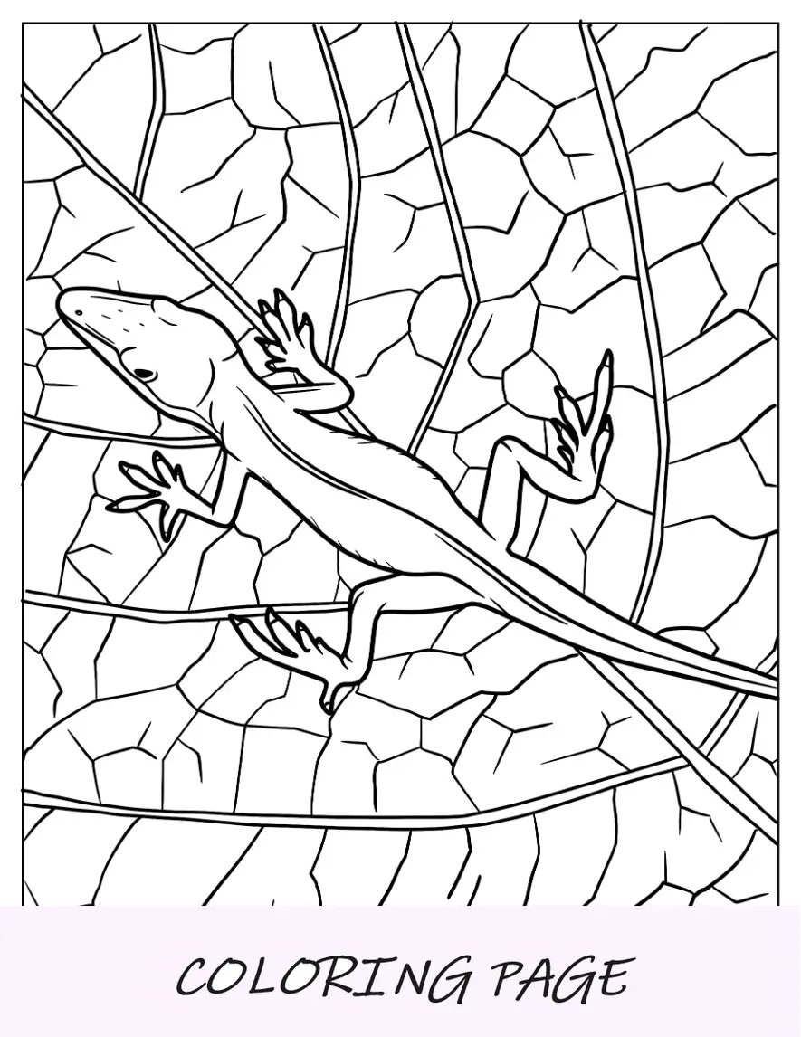 Página para colorear de lagarto de lagarto Anole verde camuflándose con una hoja