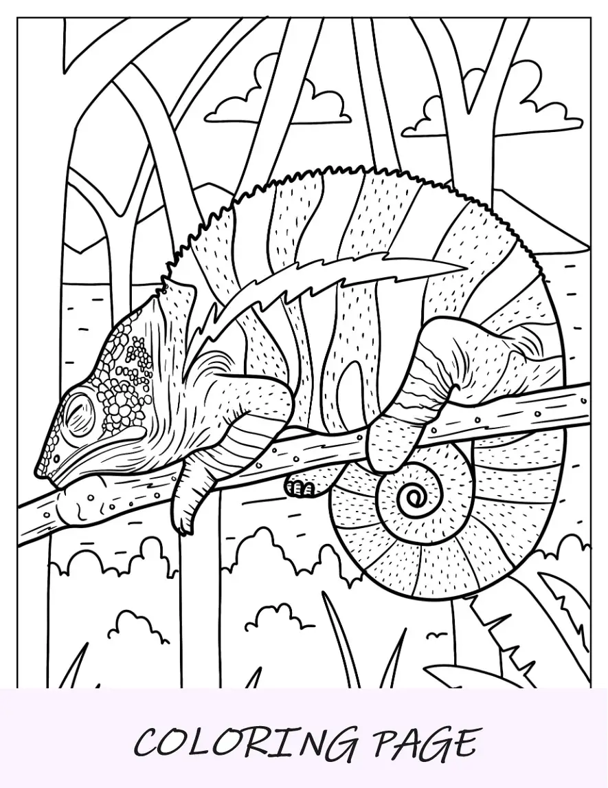 Dibujo para colorear de lagarto de camaleón con cola rizada durmiendo