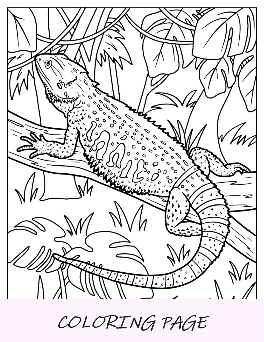 Página para colorear de lagarto del lagarto dragón barbudo en la jungla