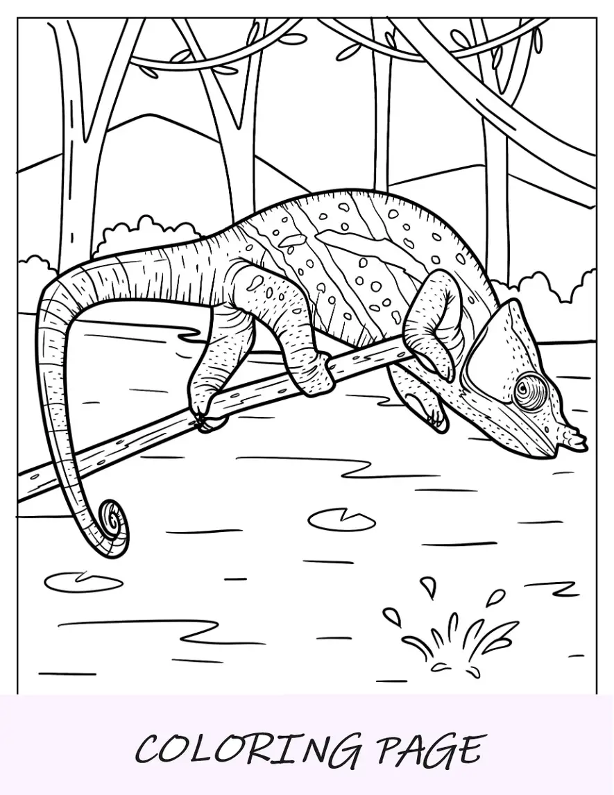 Pagina Para Colorear De Lagarto Camaleon En El Borde De Un Palo Para Colorear