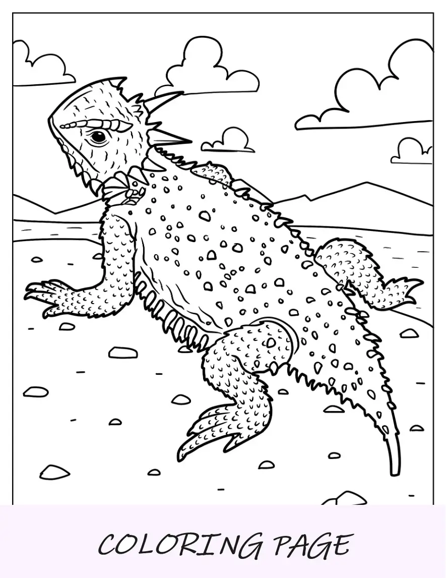 Página para colorear del lagarto cornudo de Texas en el desierto
