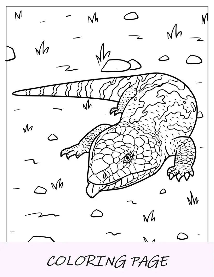 Página para colorear de lagarto de eslizón de lengua azul escamoso en el suelo