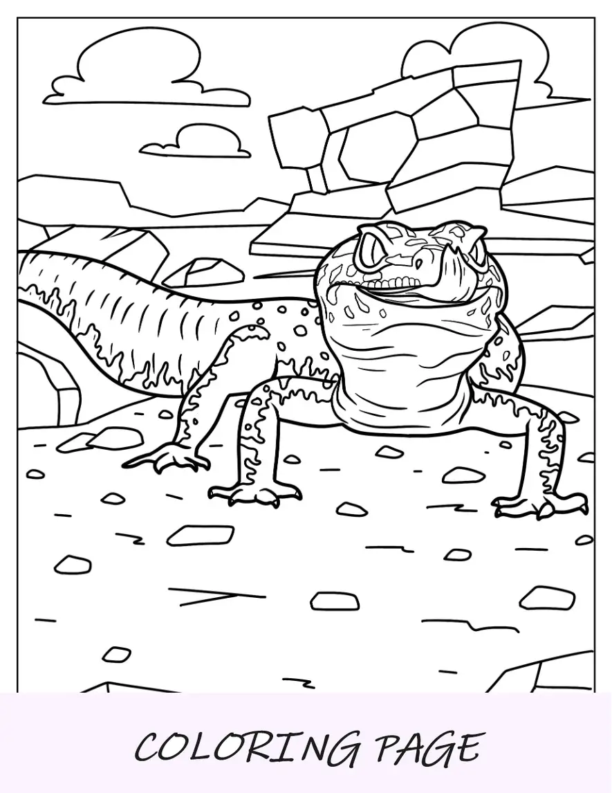 Página para colorear de lagarto gecko leopardo en las rocas