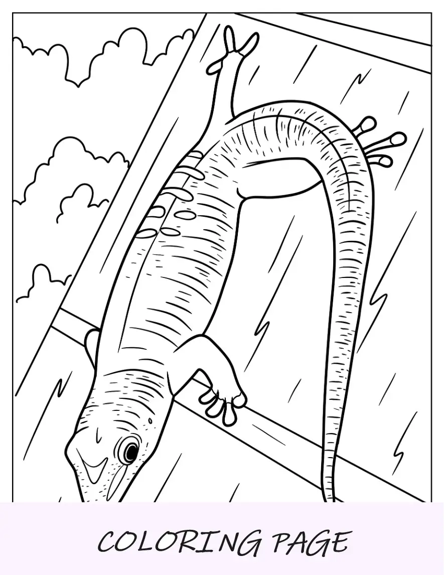 Pagina Para Colorear De Lagarto Gecko En Madera Para Colorear