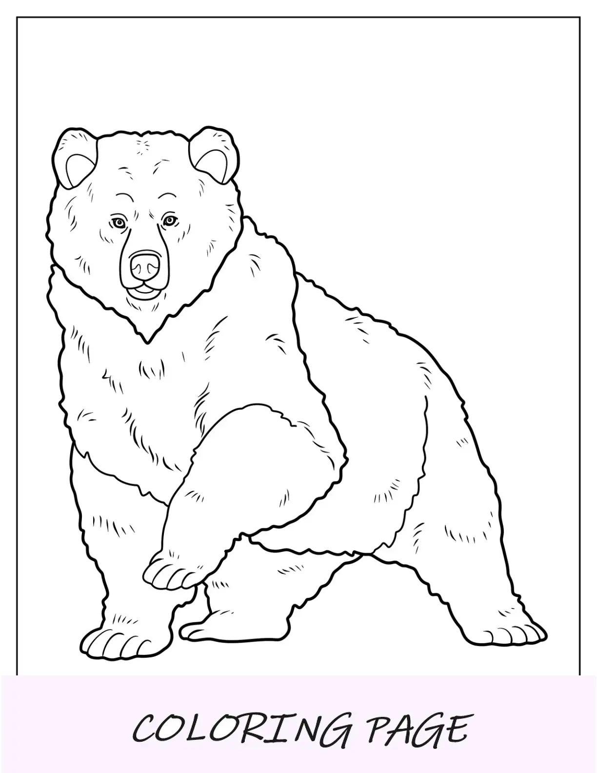 Página para colorear de oso esponjoso con una pata levantada