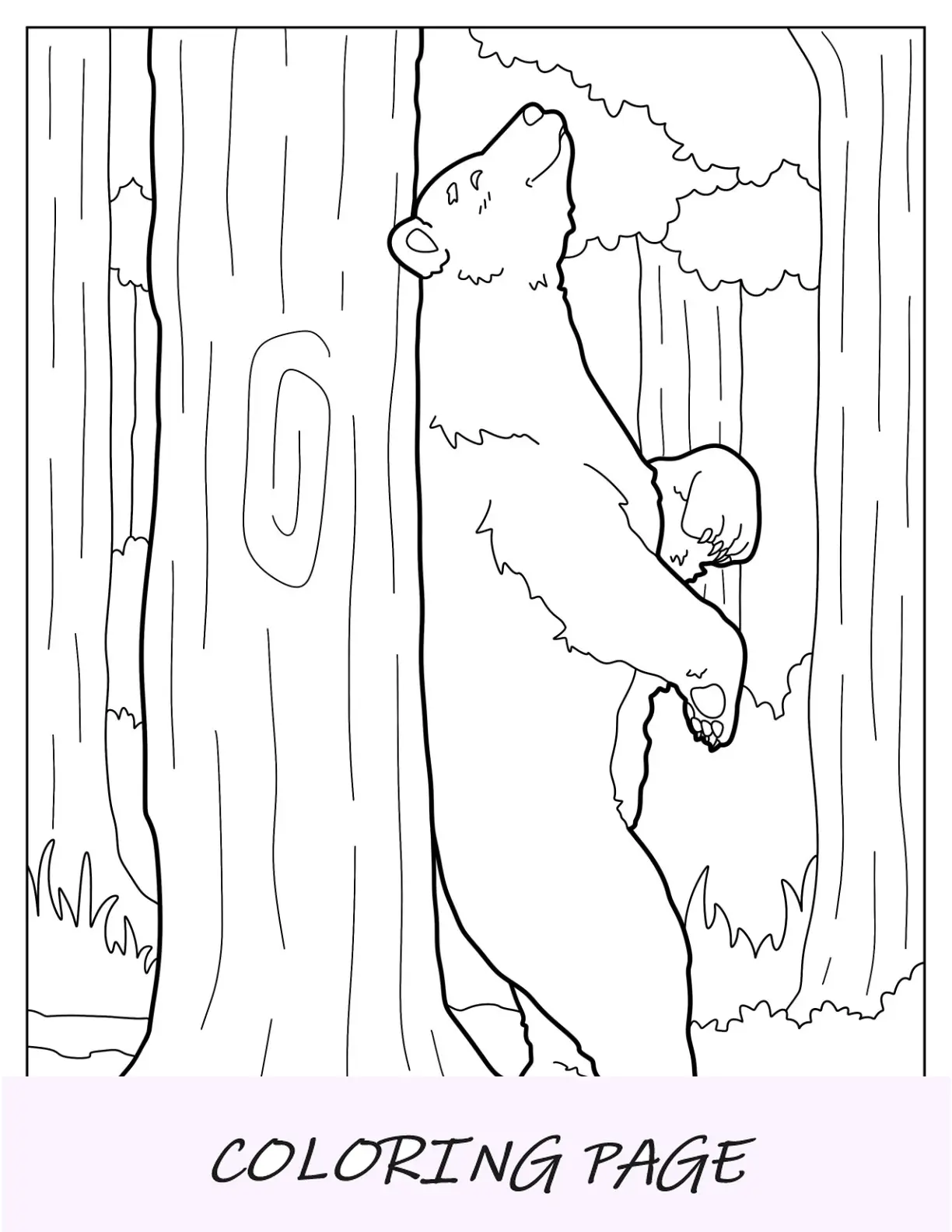 Página para colorear de oso adulto frotándose la espalda en el árbol