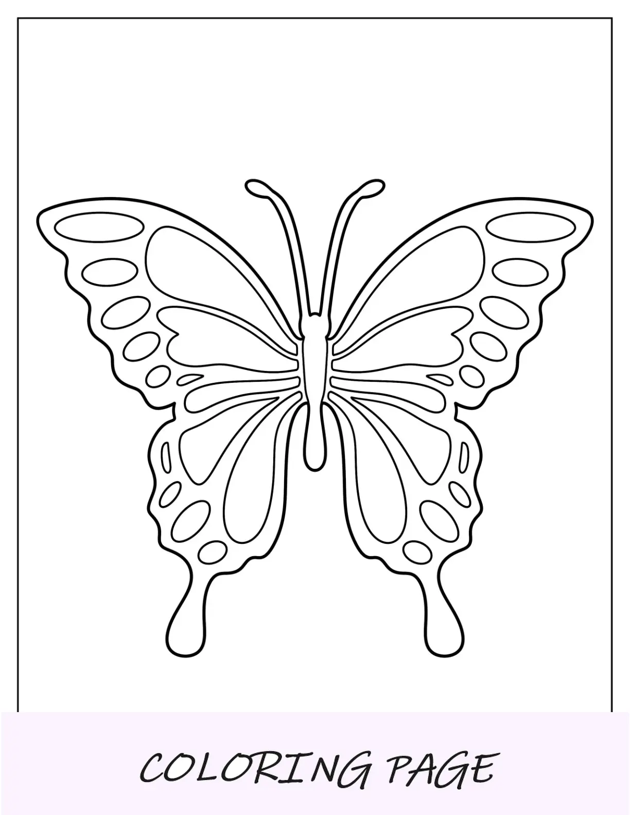 Plantilla de mariposa realista de dos media página