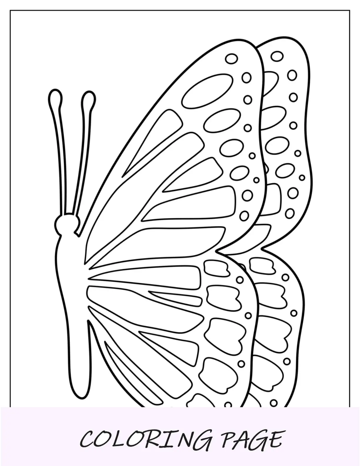 Plantilla de mariposa detallada con vista lateral de dos media página