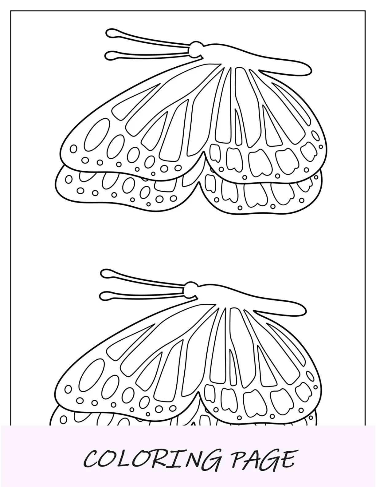 Plantilla de mariposa detallada de vista lateral mediana