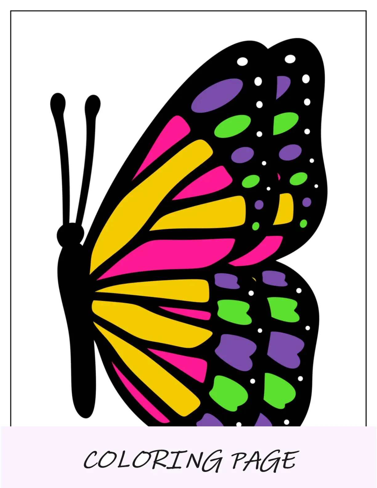 Plantilla de mariposa detallada con vista lateral en color de dos medias páginas