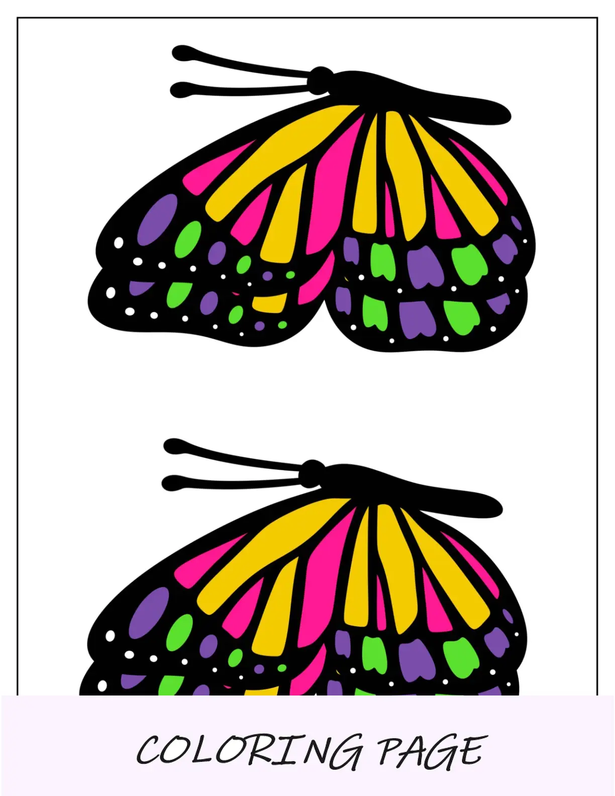 Plantilla detallada de mariposa con vista lateral de color medio