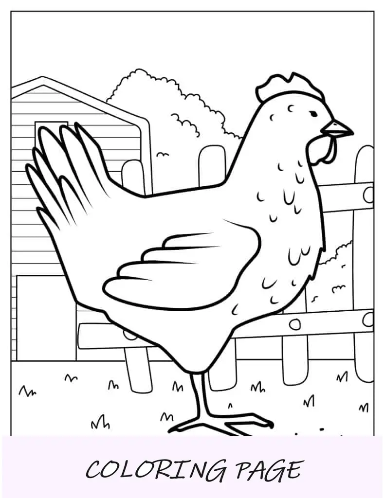 Pollo Da Fattoria Da Colorare