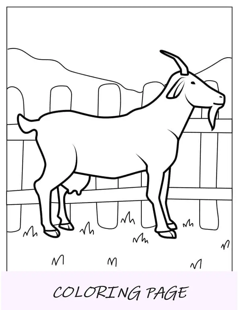 Capra allevata in fattoria da colorare per i bambini
