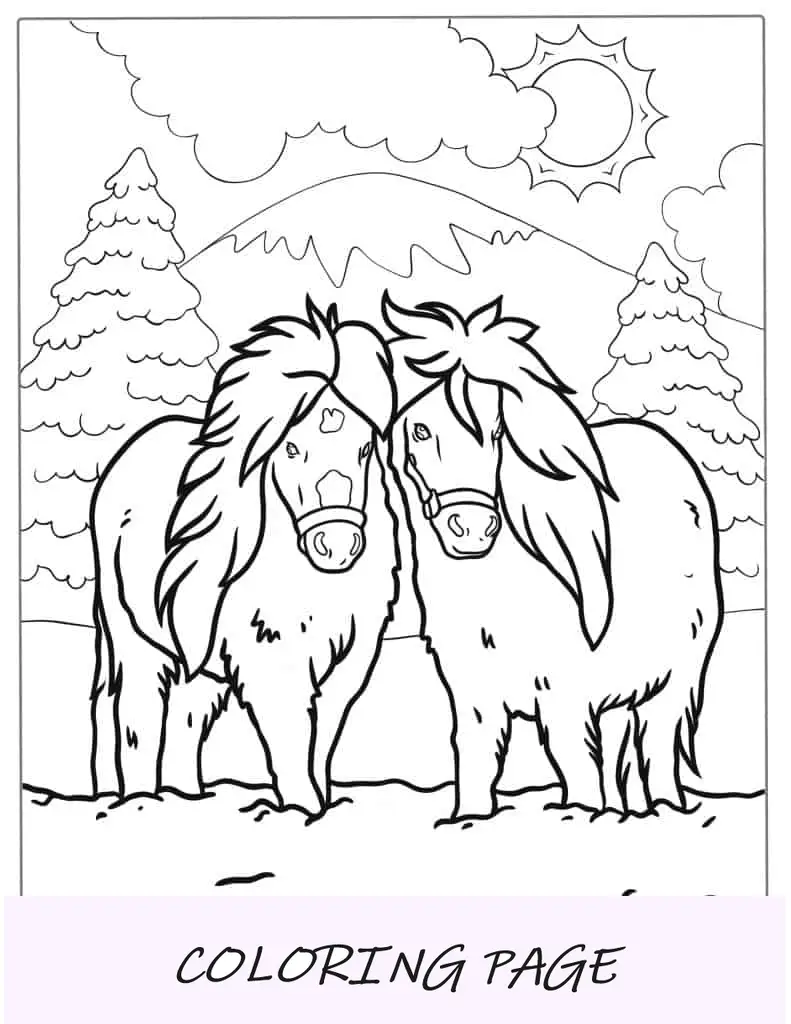 Dos esponjosos caballos en miniatura para colorear