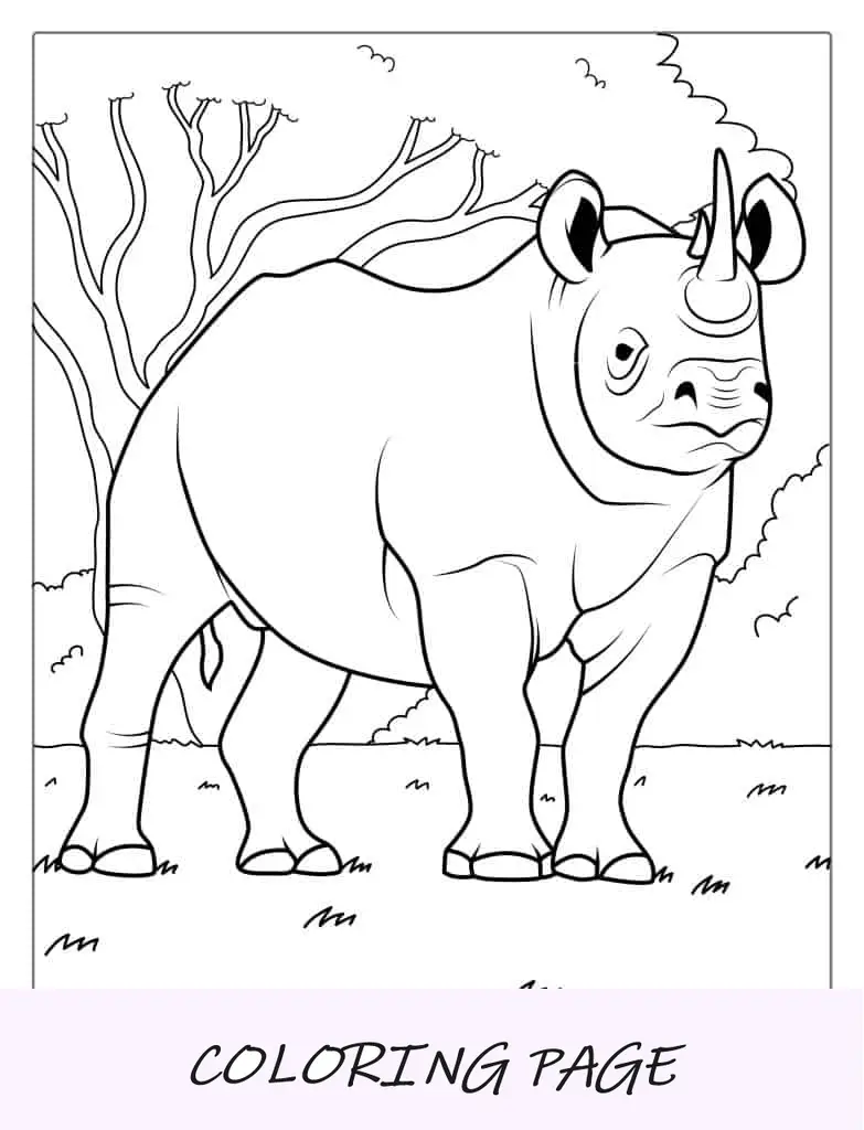 Rinoceronte branco detalhado para colorir