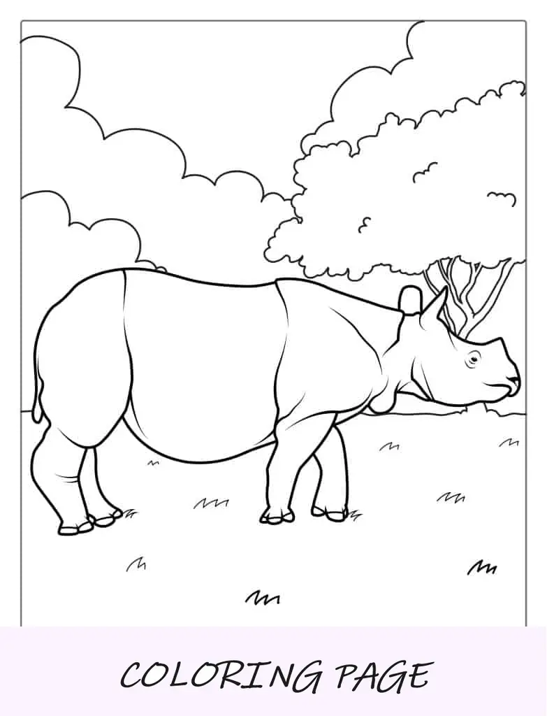 Página para colorir de rinoceronte indiano