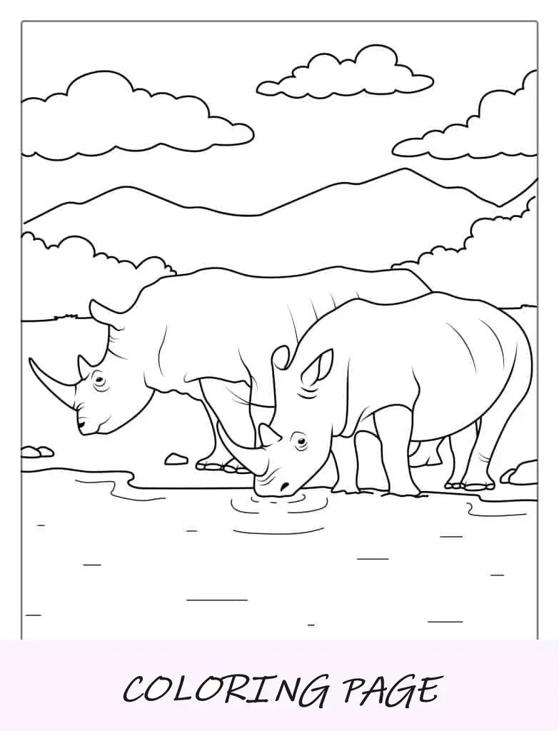 Dois rinocerontes bebendo água para colorir