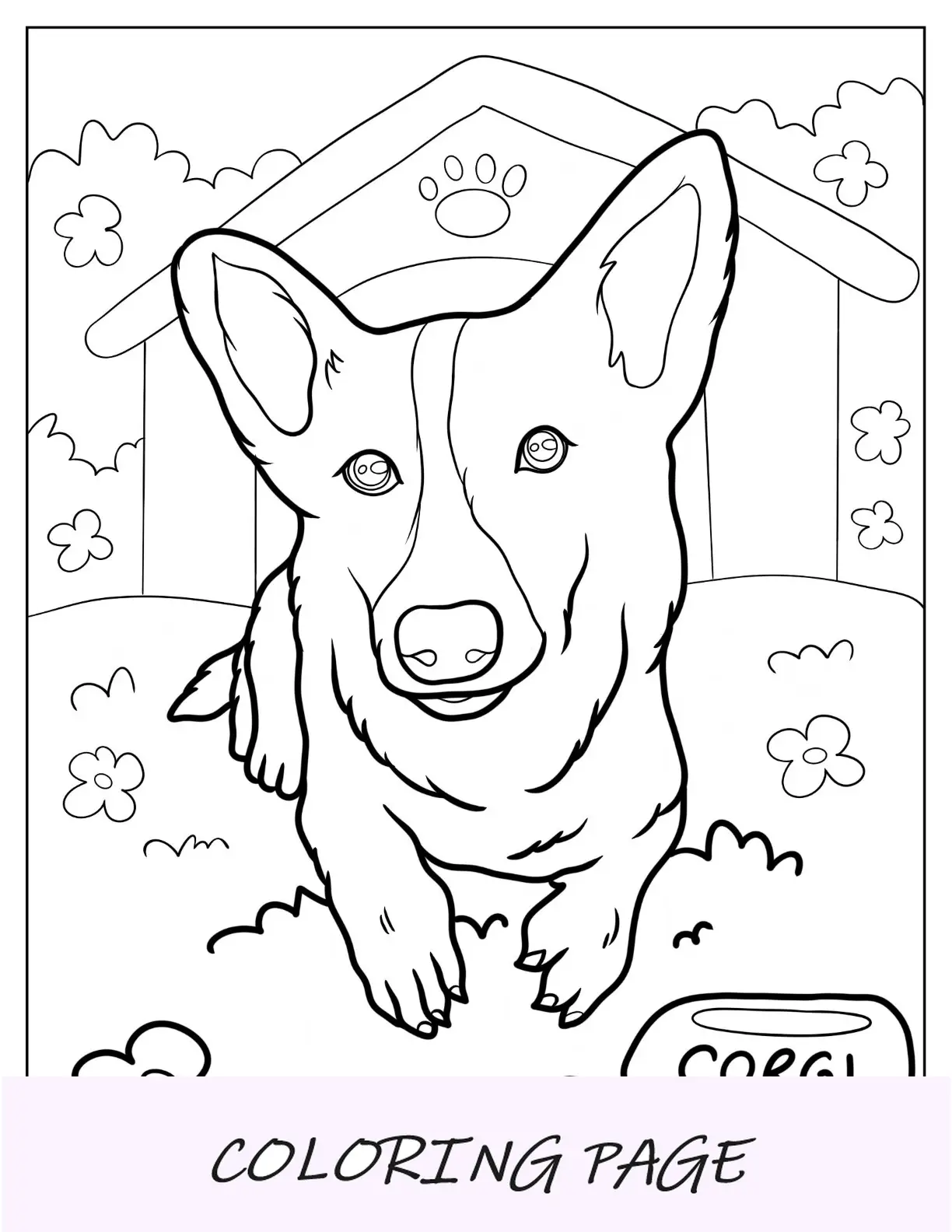 Close Up de uma página para colorir Corgi realista