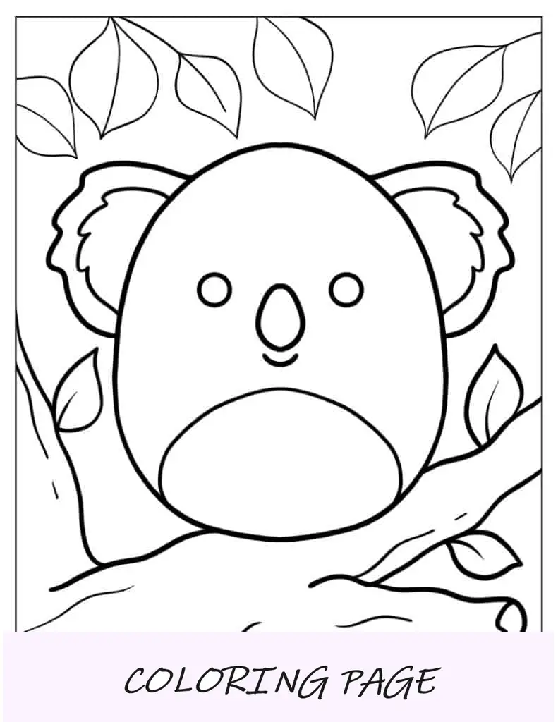 Kevin, o coala Squishmallow