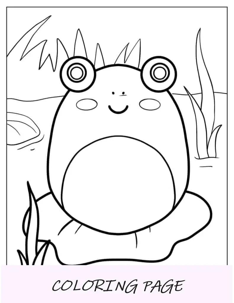 Wendy, o Sapo Squishmallow