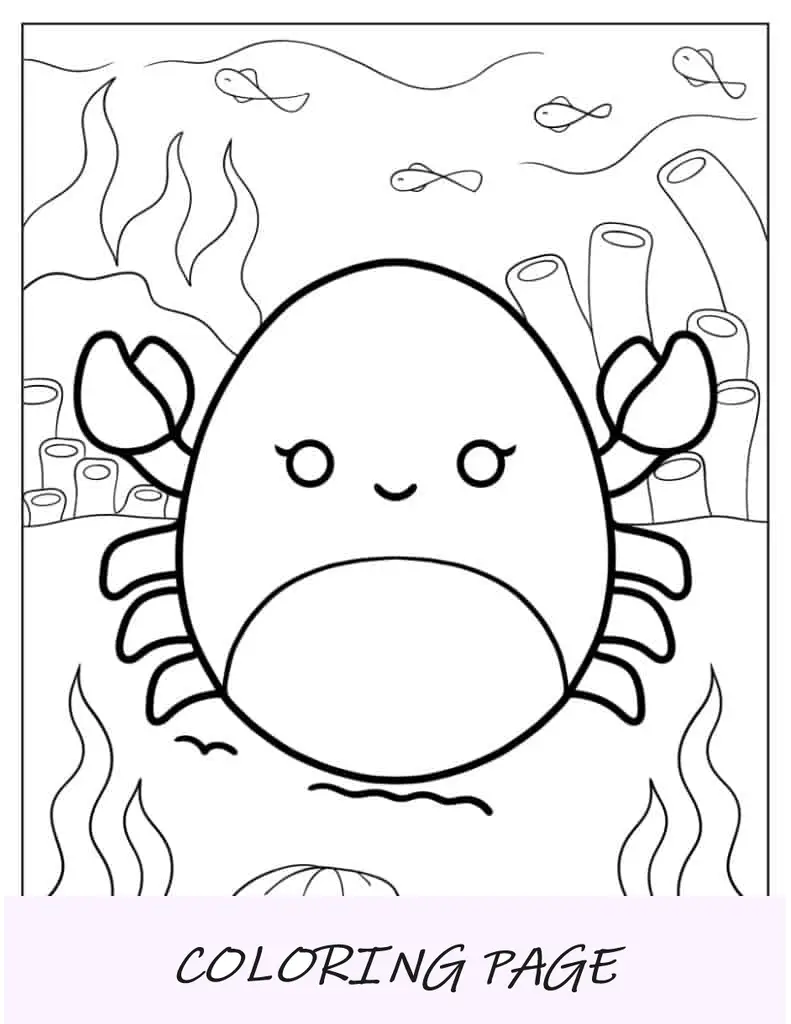 Cailey, o caranguejo Squishmallow