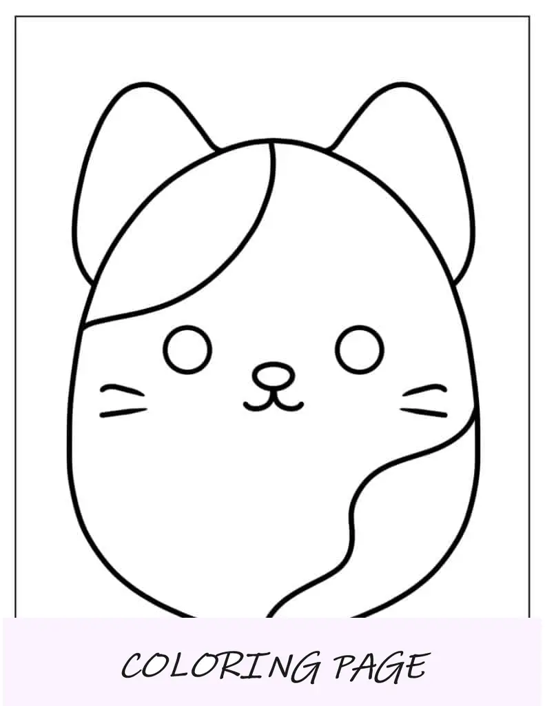 Cameron, o gato Squishmallow