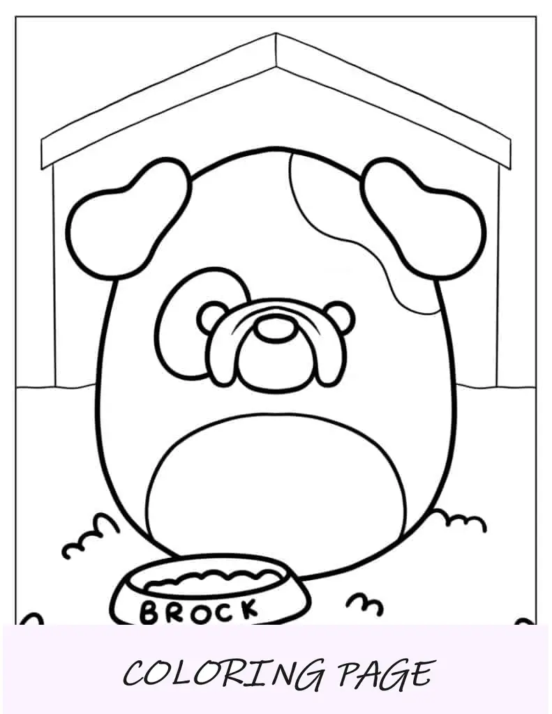 Brock, o buldogue Squishmallow