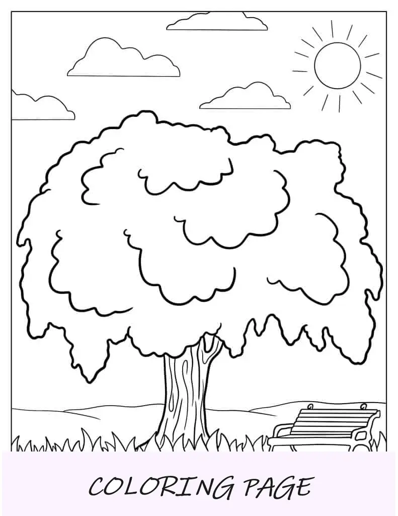 Salgueiro no parque para colorir