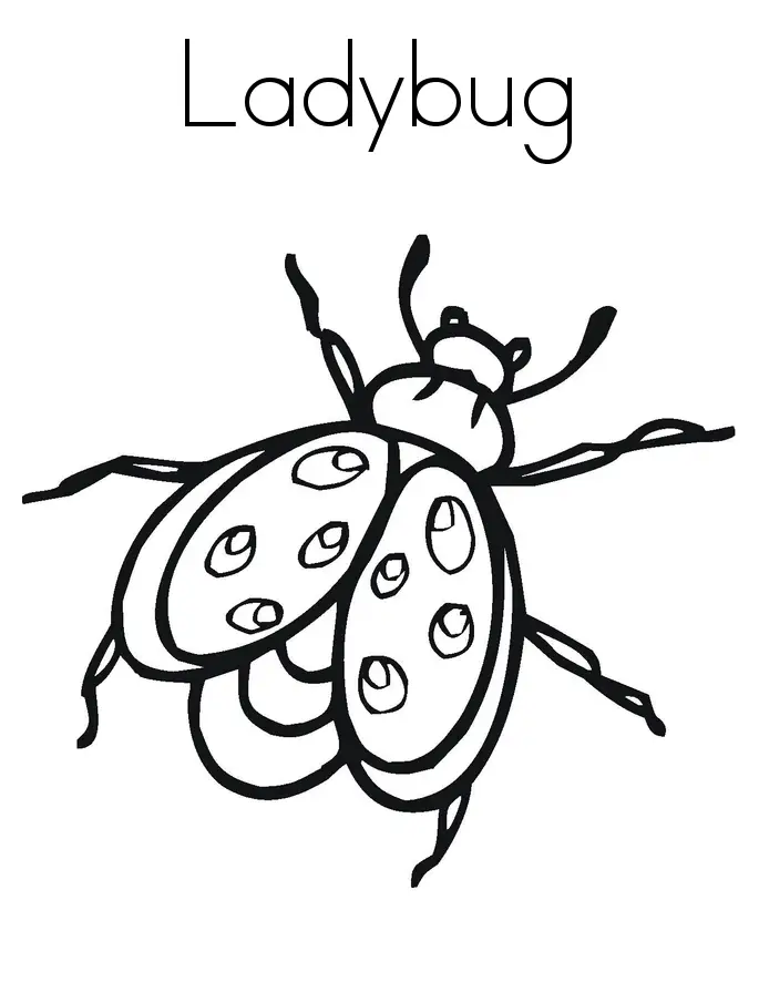 Baby Ladybug Coloring Page