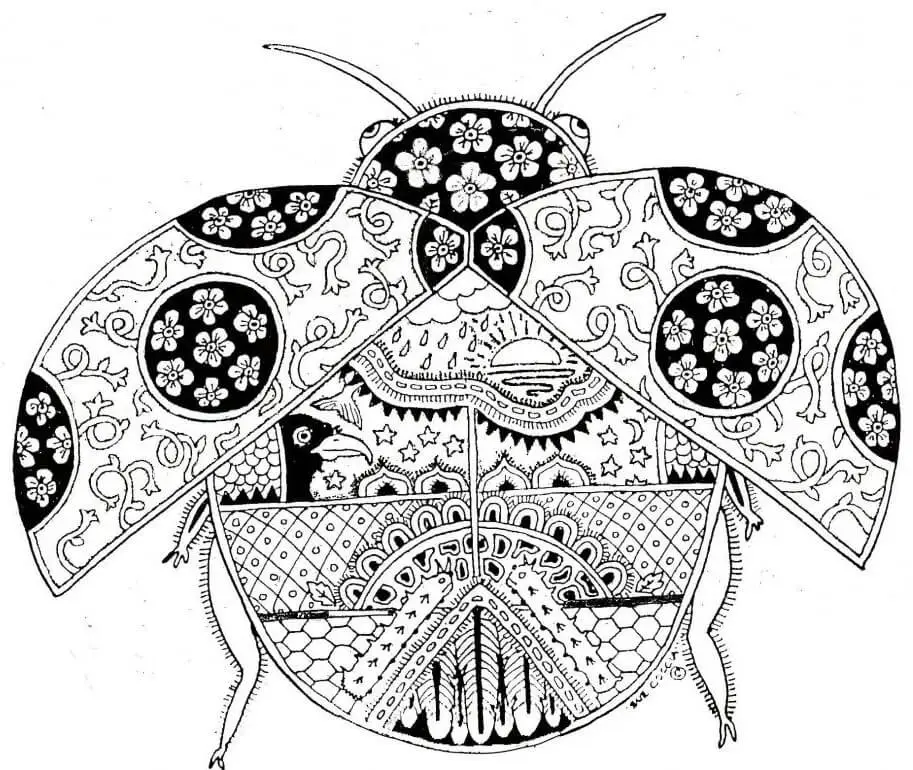 Adult Ladybug Coloring Pages