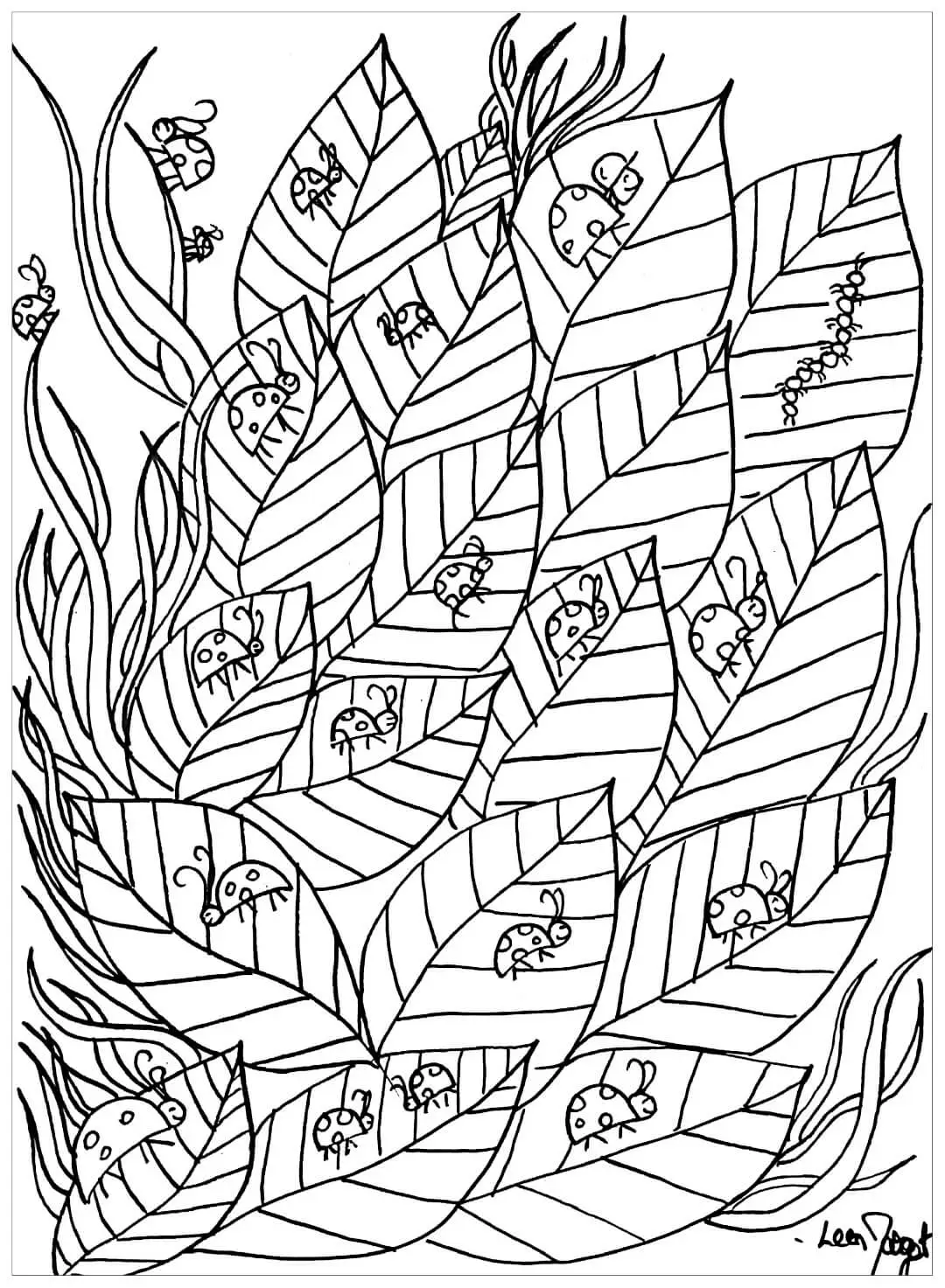 Ladybugs Coloring Pages