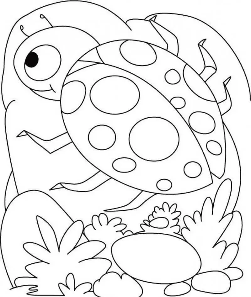 Ladybug Coloring Page For Kids