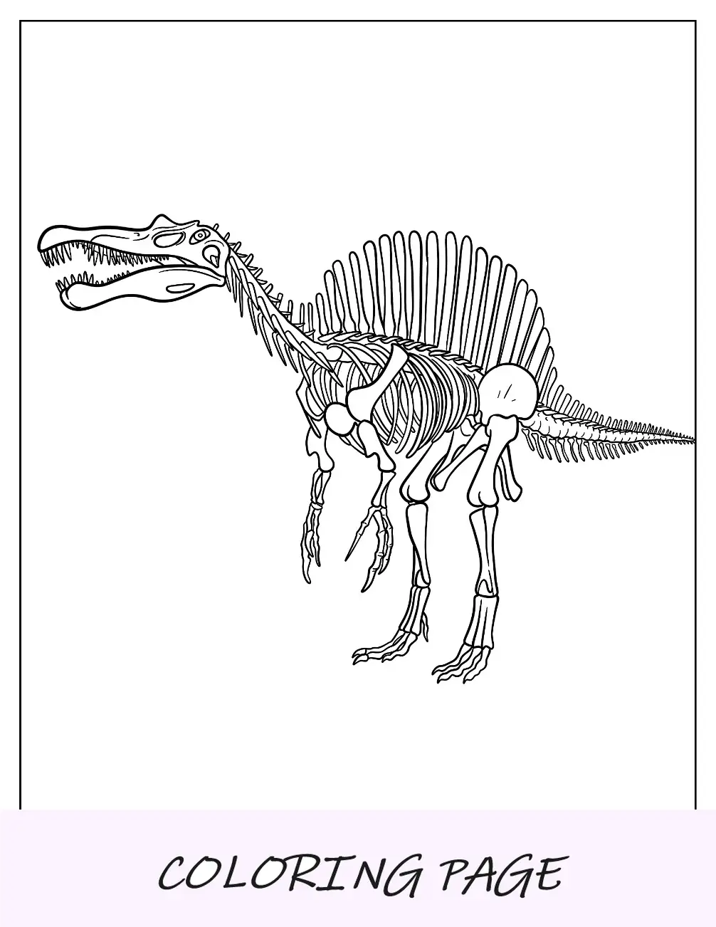 Esqueleto para colorear de Spinosaurus