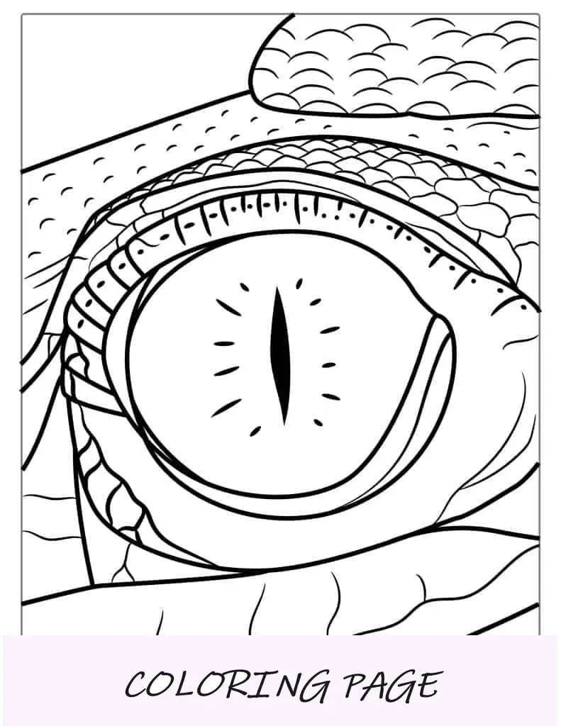 Folha para colorir de crocodilo de água salgada australiano
