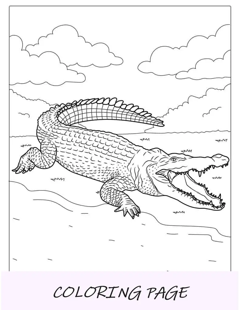 Folha para colorir crocodilo de Peter Pan