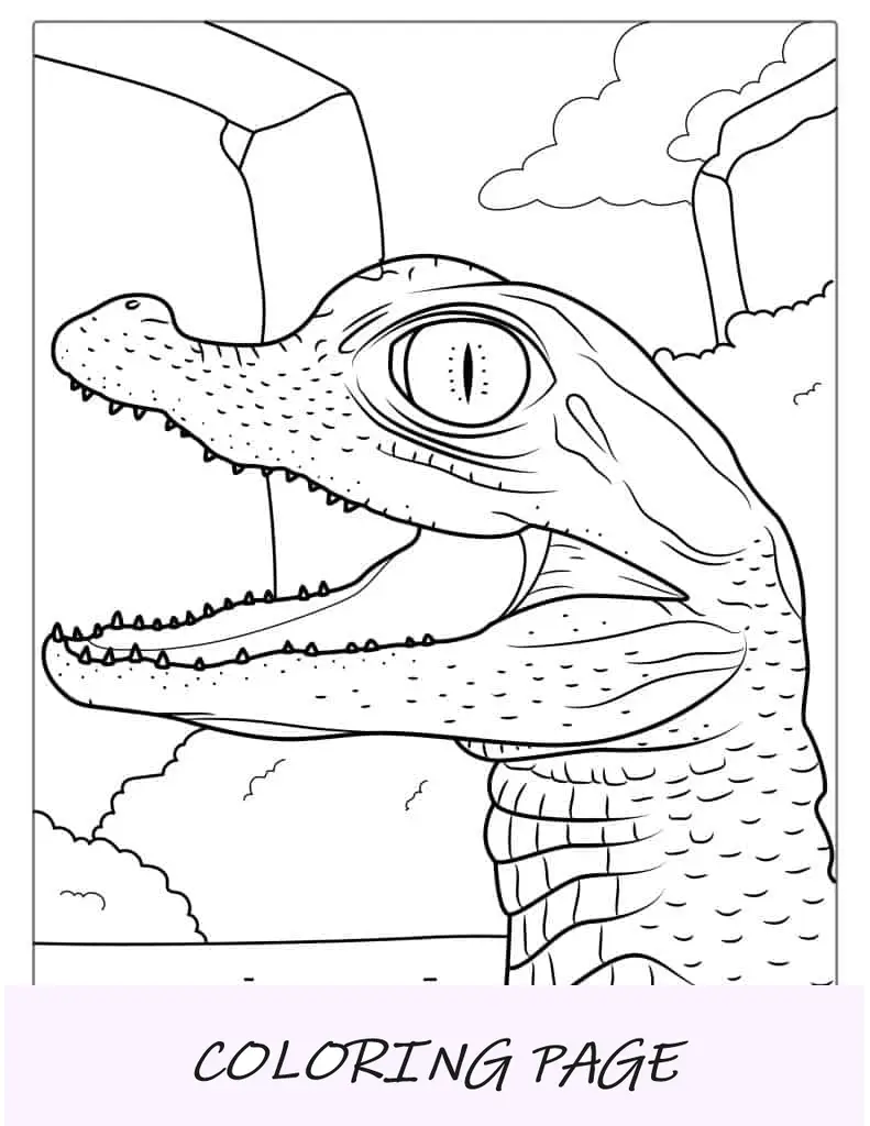 Esboço fácil de um crocodilo para crianças em idade pré-escolar(1)