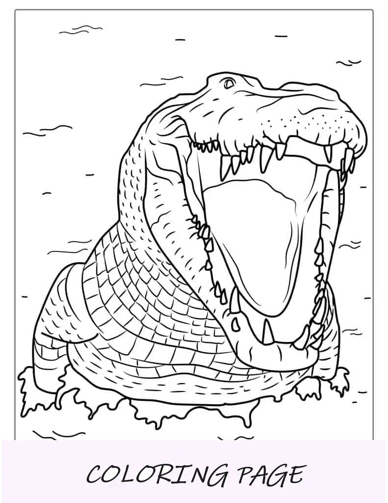 Crocodilo de desenho animado de bebê fofo