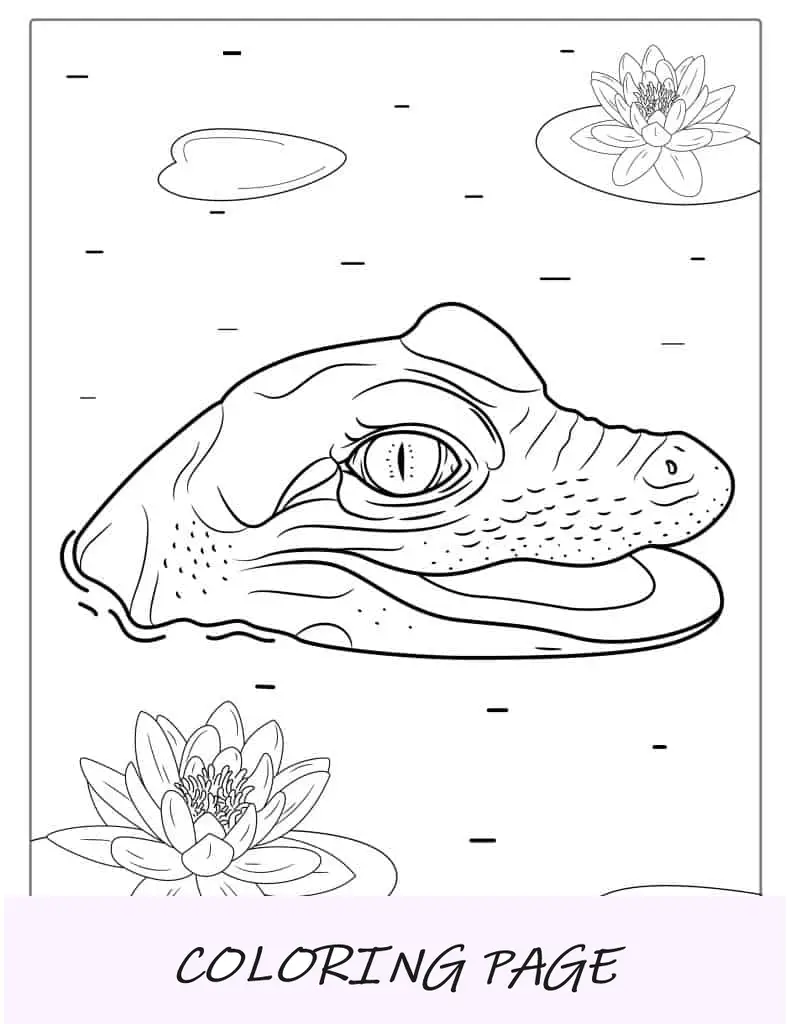 Esboço fácil de um crocodilo para crianças em idade pré-escolar