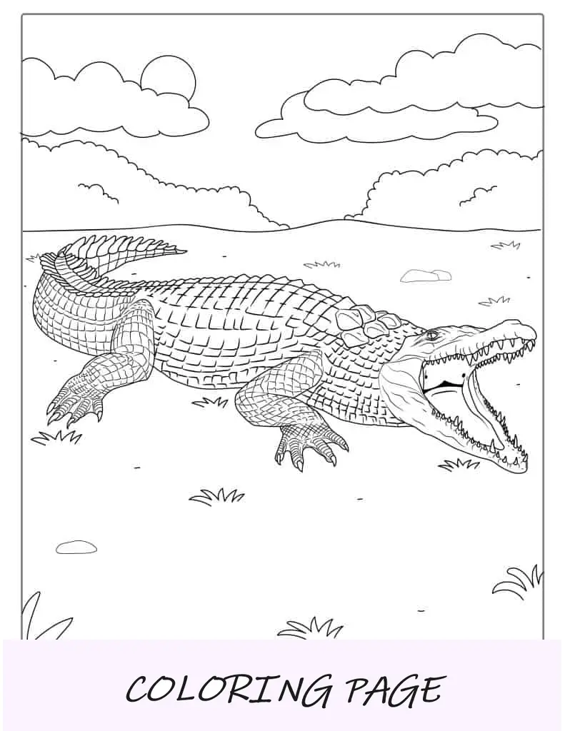 Imagem de crocodilo simples de colorir para crianças