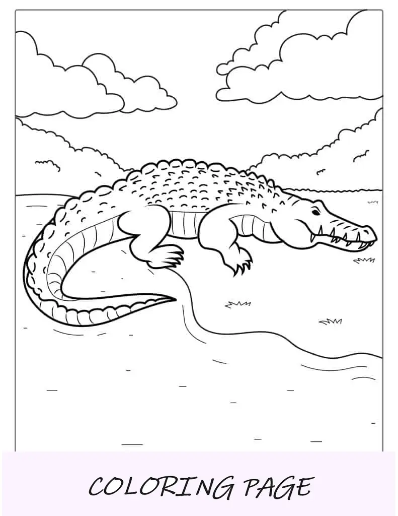 Folha para colorir de crocodilo com tema Kawaii