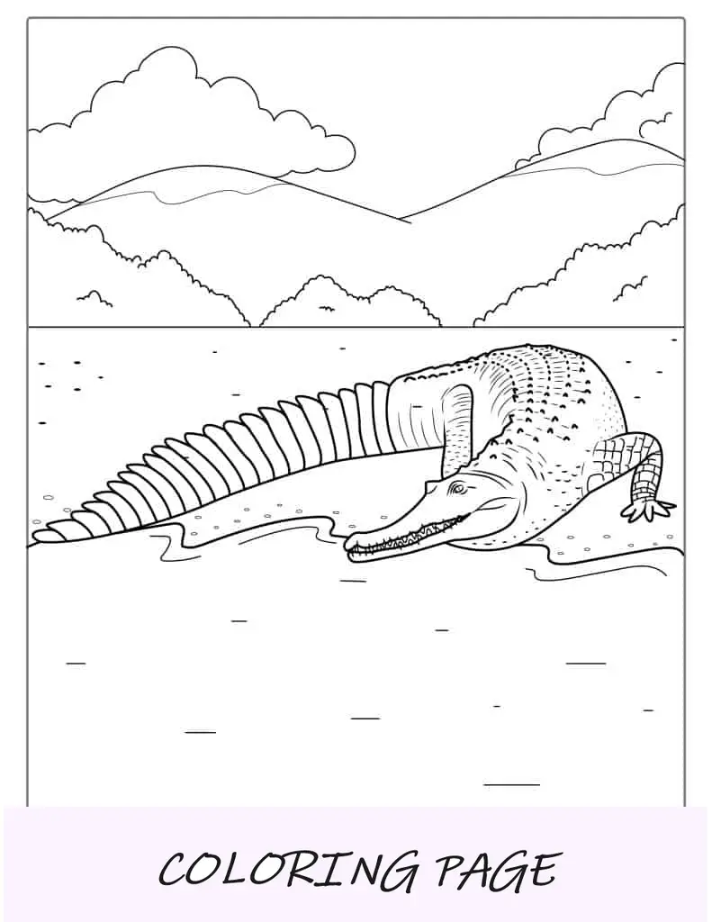 Página para colorir de um olho de crocodilo
