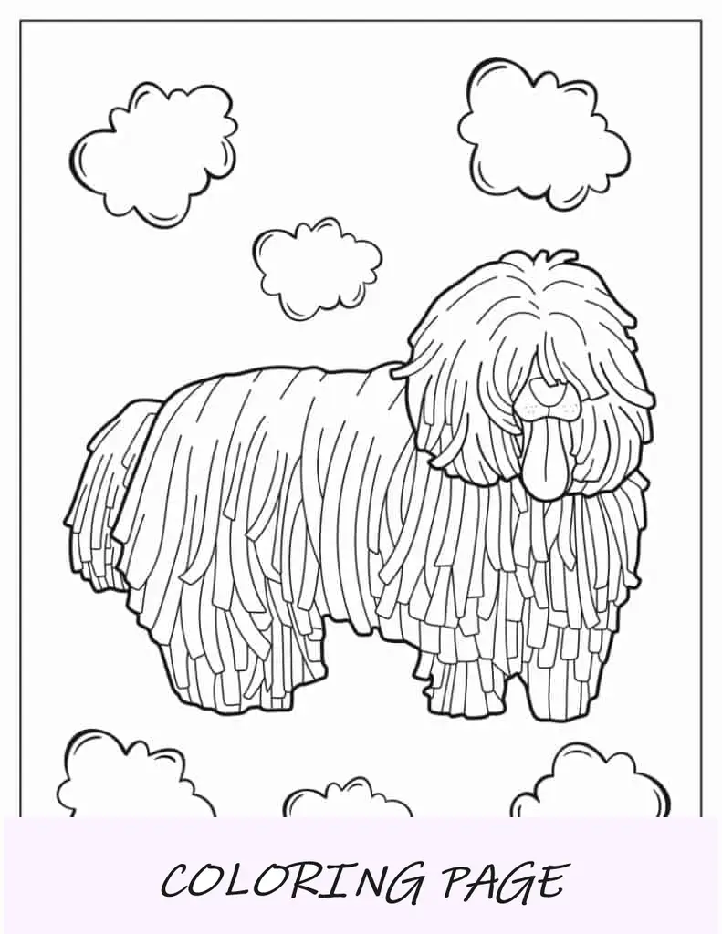Cachorro Komondor com pelo crescido