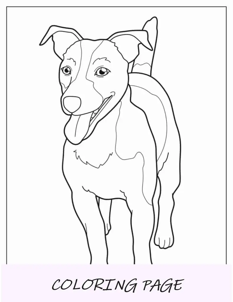 Página para colorir divertida de Jack Russell para crianças