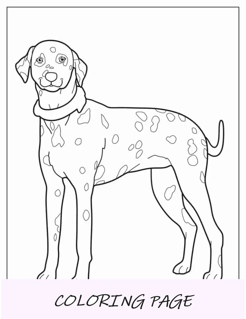 Folha grande para colorir cachorro dálmata
