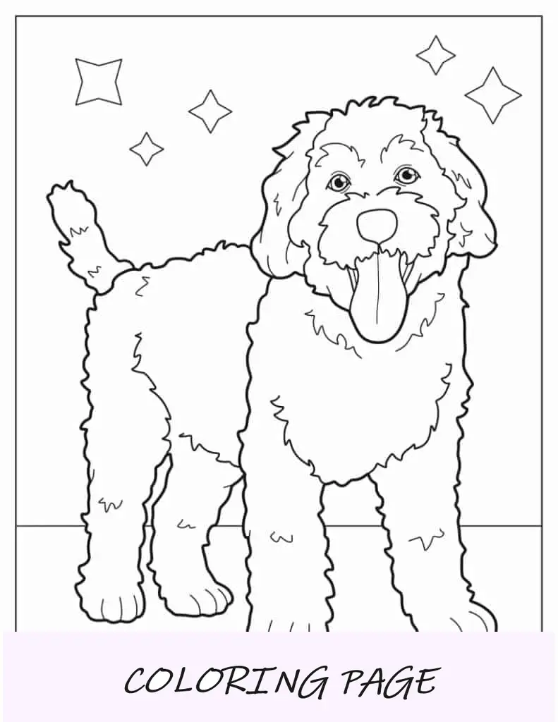 Folha para colorir de filhote de cachorro Labradoodle com língua de fora