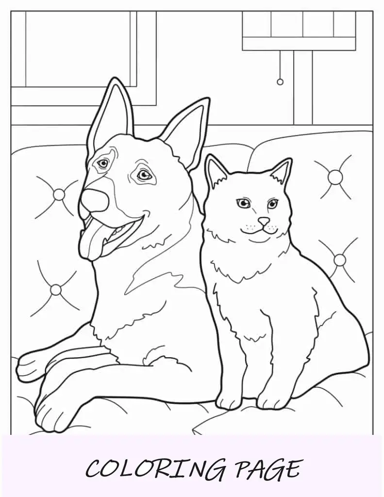 Pastor Alemão E Gato Sentados No Sofá